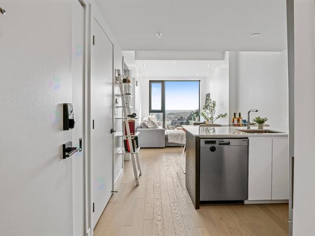 1210 Rue Jeanne-Mance|#5815|Montréal (Ville-Marie), Quebec H2X1M1