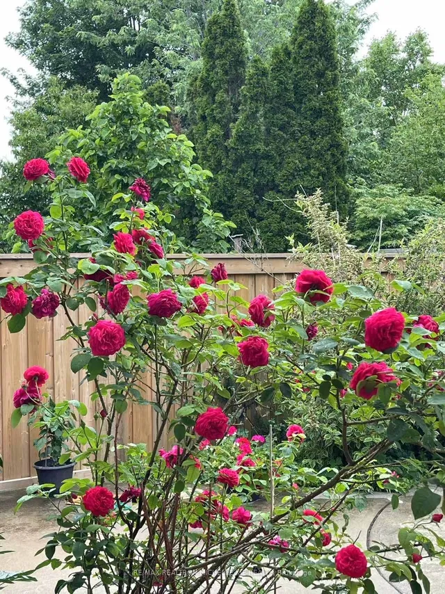 Additional image 39 of 41 Inverhuron Tr