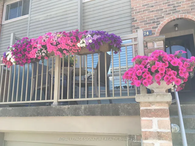 Additional image 39 of 74 Dutch Myrtle Way