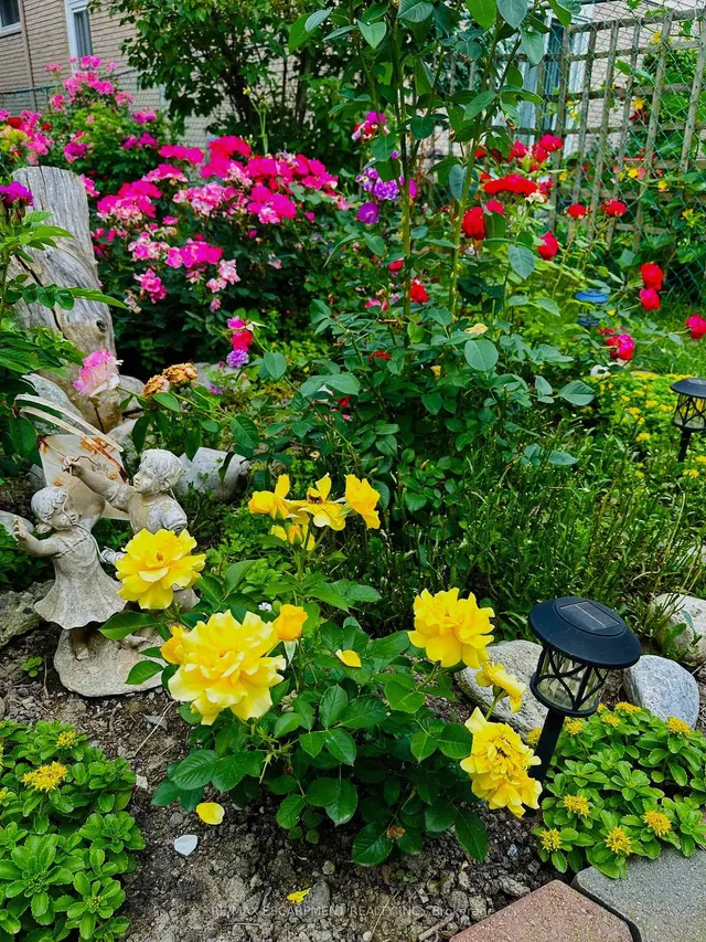 Additional image 48 of 19 Normajean Ave