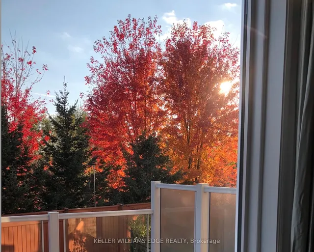 Additional image 48 of 2958 Singleton Common