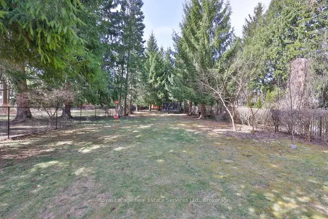 Additional image 49 of 317 North Shore Blvd