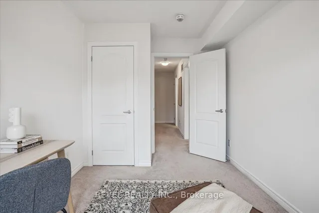 Additional image 26 of 3038 Blacktusk Common