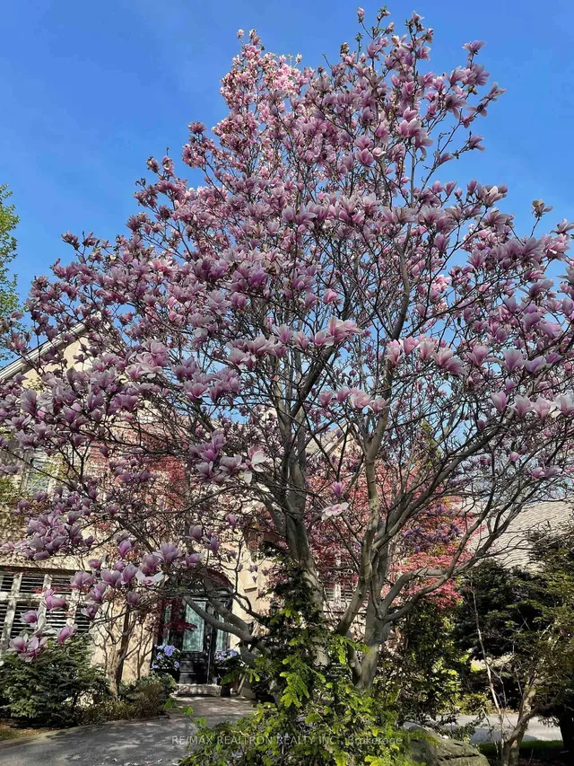 Additional image 41 of 4 Zaharias Crt