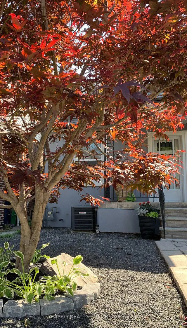 Additional image 34 of 5 Thyra Ave