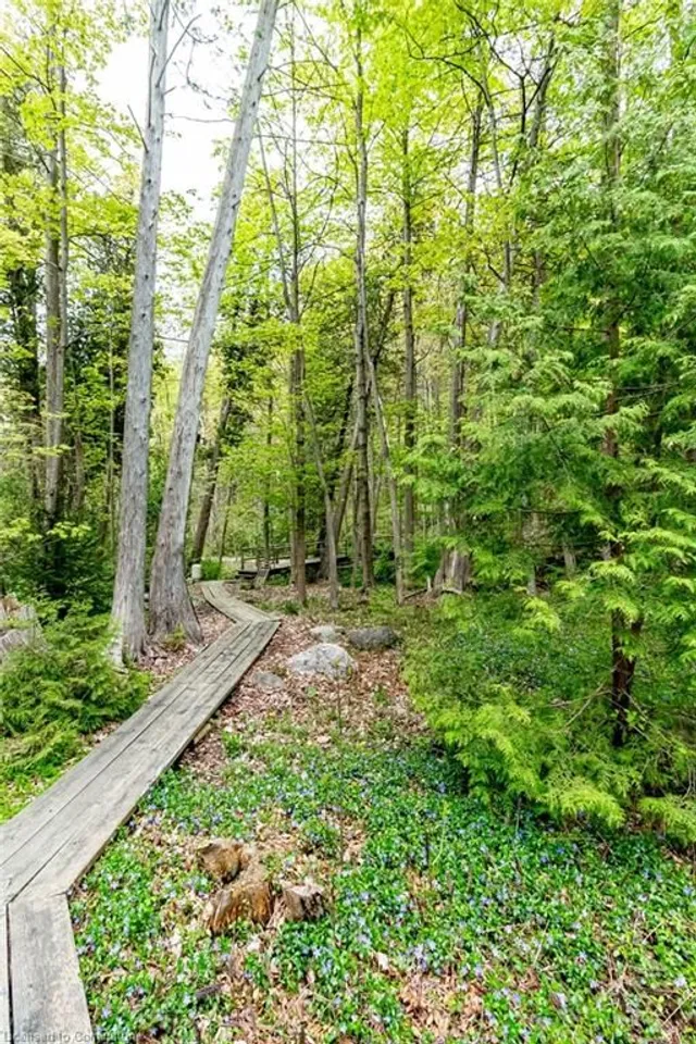 Additional image 45 of 6087 Cedar Springs Rd