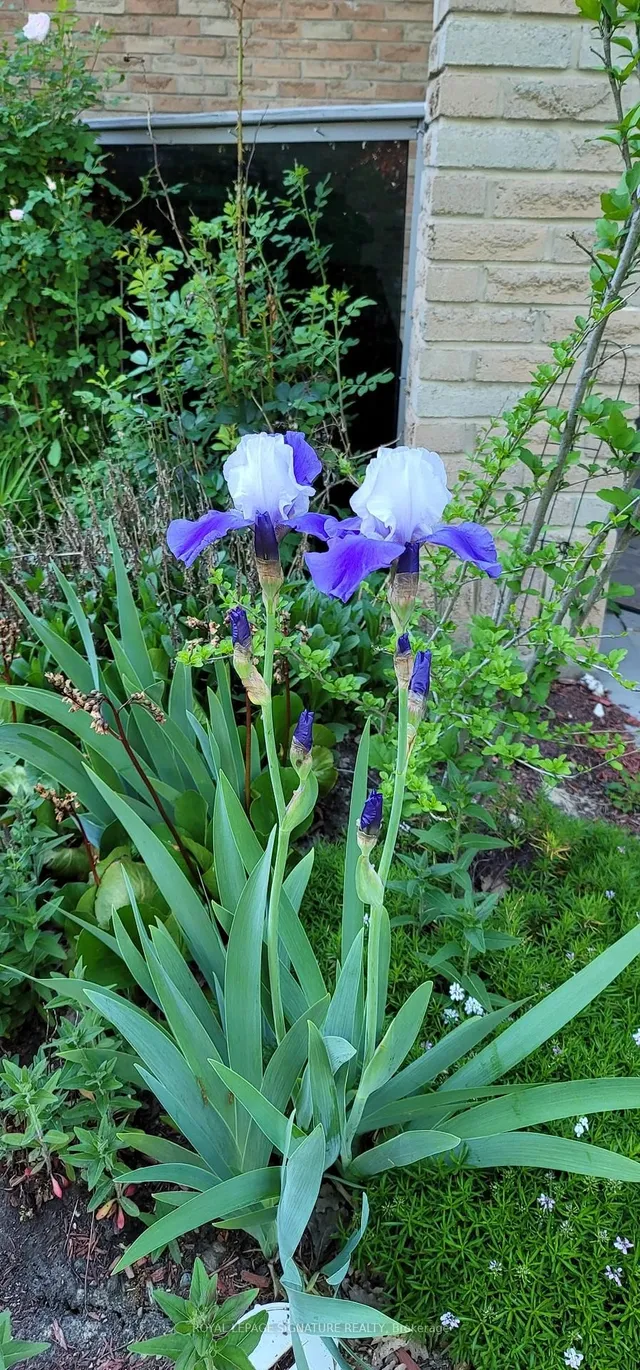 Additional image 36 of 48 Lawndale Cres