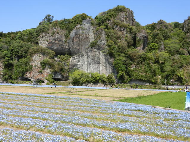 Additional image 25 of Tohara, Yabakei-cho, Nakatsu City, Oita Prefecture