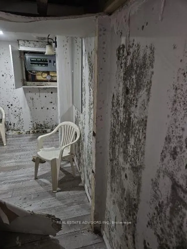 Additional image 12 of 19 Horseshoe Crt