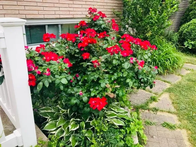 Additional image 40 of 19 Normajean Ave