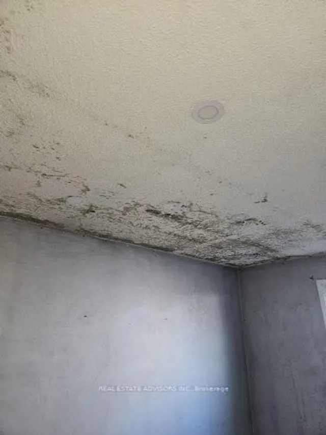 Additional image 15 of 19 Horseshoe Crt