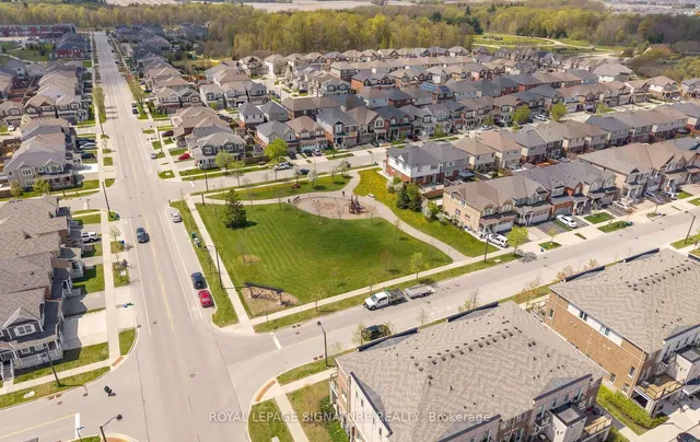 Additional image 46 of 82 Daylily Lane