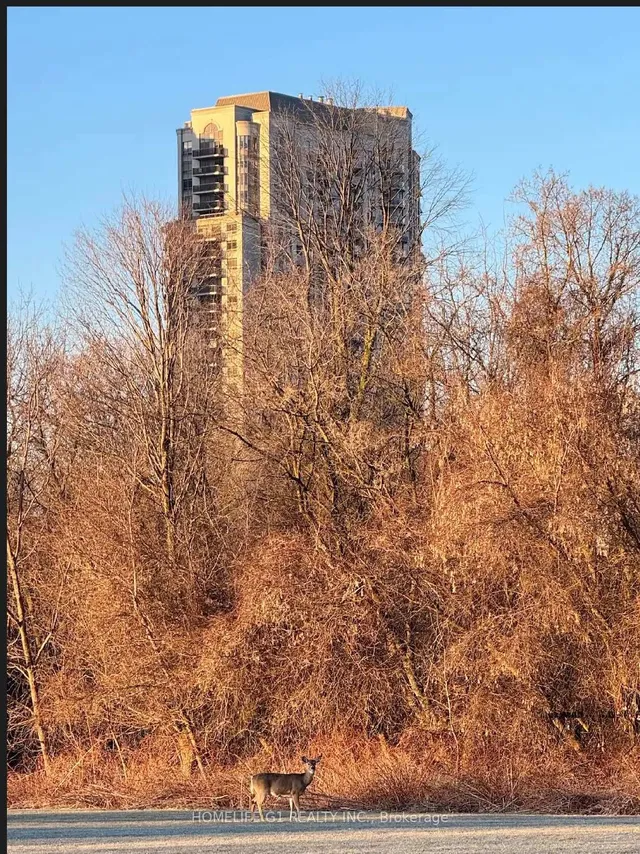 Additional image 2 of 710 Humberwood Blvd Unit 606