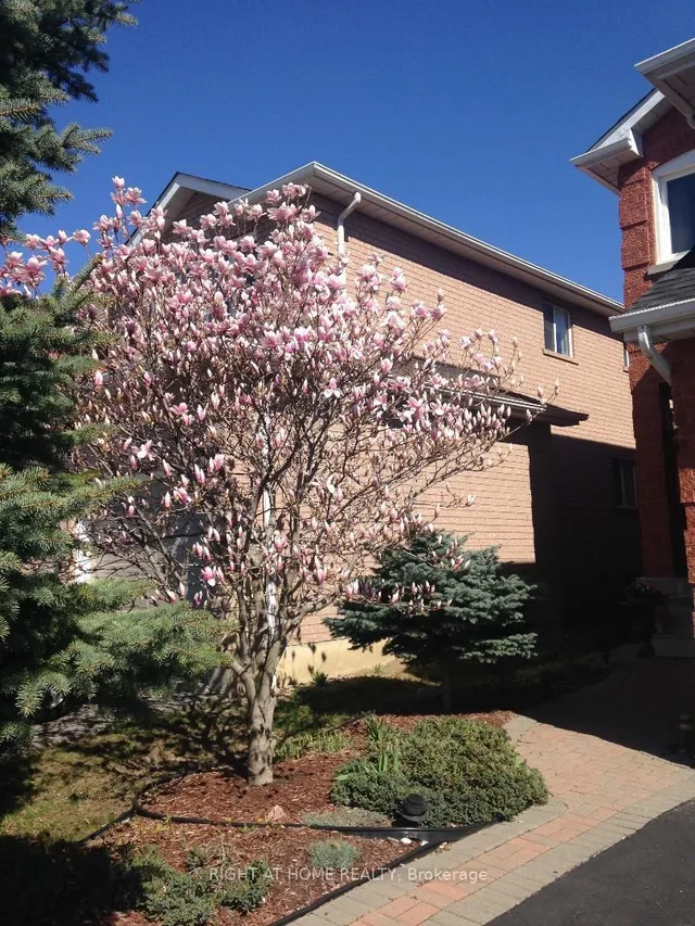 Additional image 4 of 845 Mays Cres