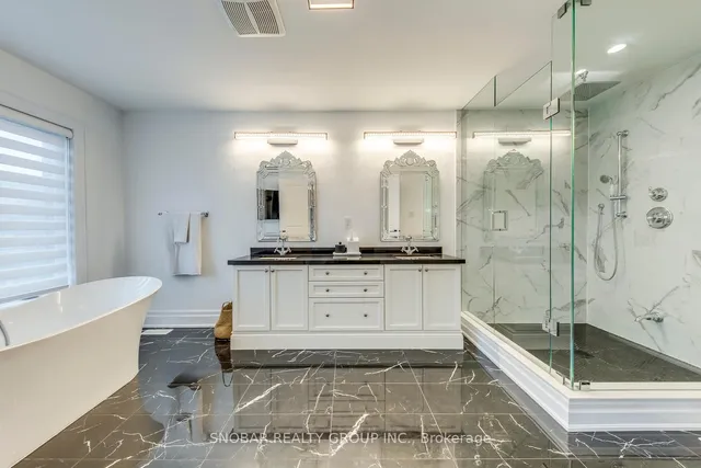 Additional image 15 of 18 Chimney Swift Crt