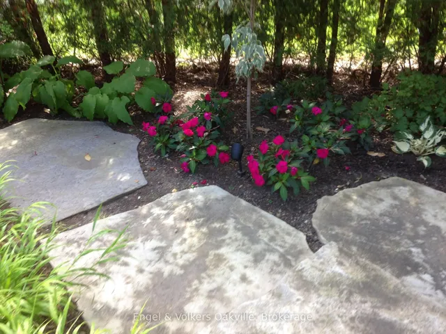 Additional image 28 of 950 Wintergreen Pl