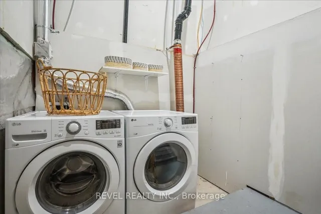 Additional image 9 of 3038 Blacktusk Common