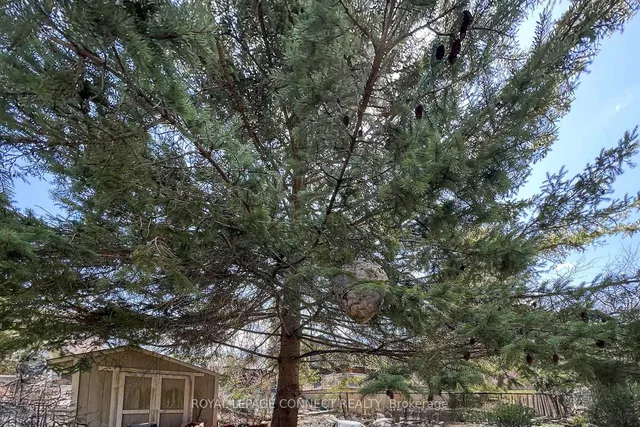 Additional image 38 of 20 Brinloor Blvd