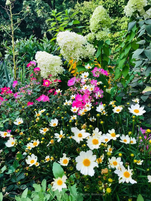 Additional image 46 of 1873 Four Seasons Dr