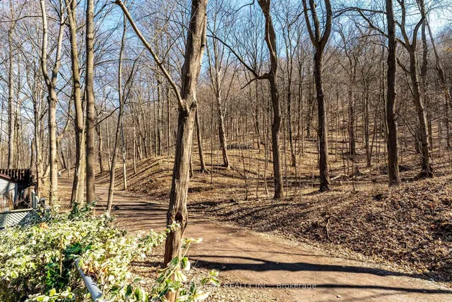 Additional image 30 of 245 Hillcrest Ave