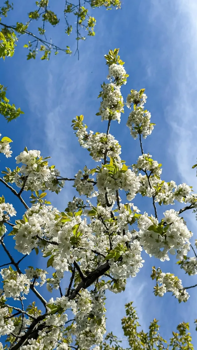 Additional image 41 of 16 Billington Cres