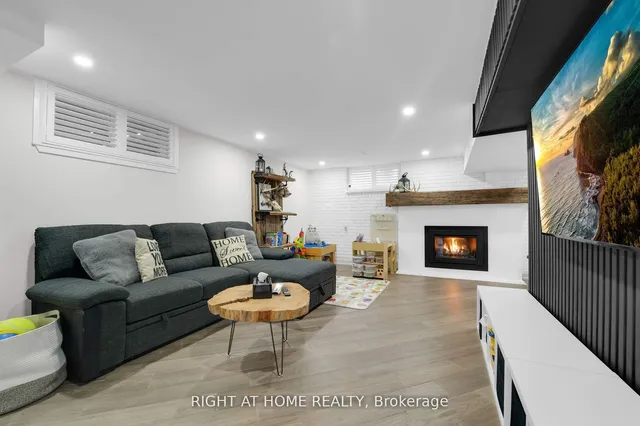 Additional image 28 of 54 Primula Cres