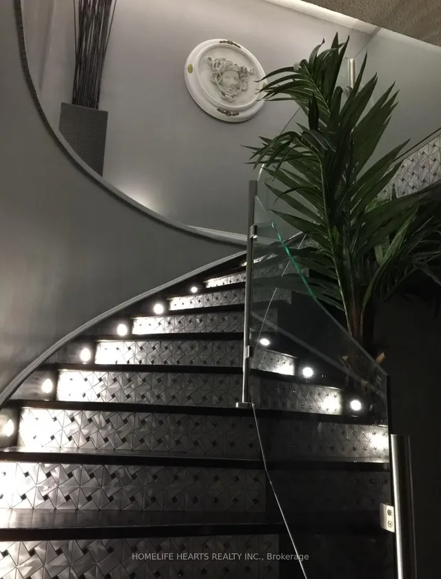 Additional image 38 of 4768 Owl Circ