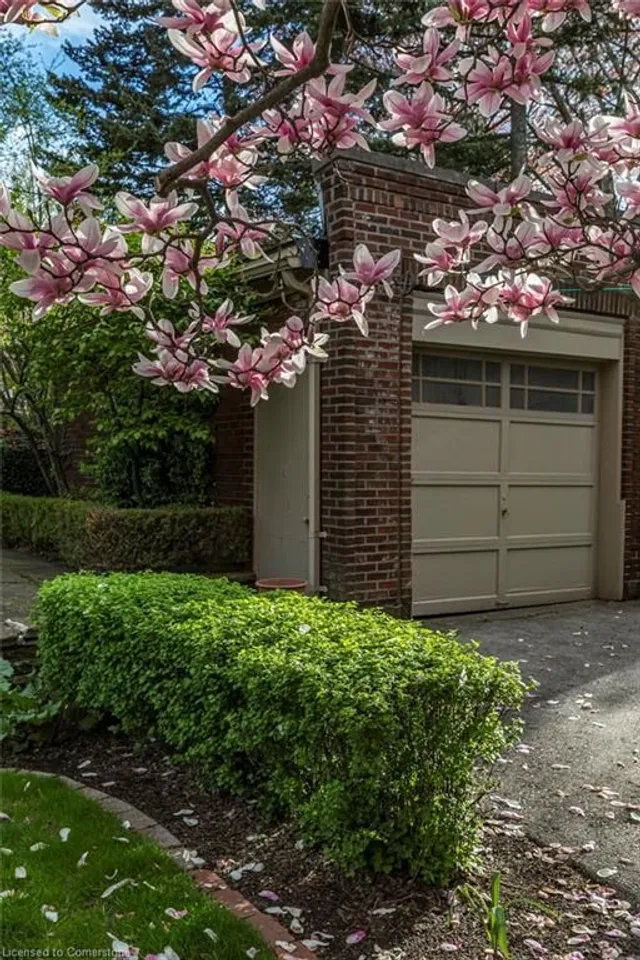 Additional image 47 of 45 Markland St