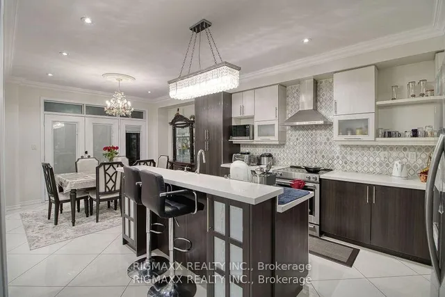 Additional image 11 of 22 Iguana Tr