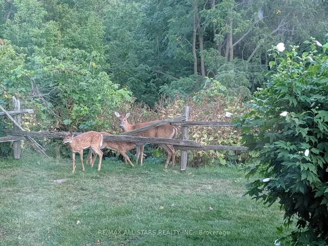 Additional image 46 of 61 Hill Cres