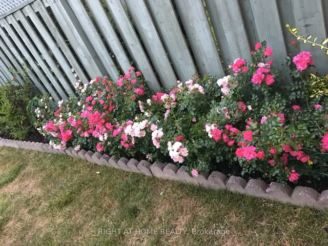 Additional image 34 of 5326 Marblewood Dr