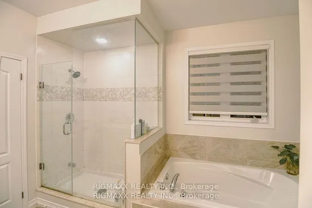 Additional image 26 of 22 Iguana Tr