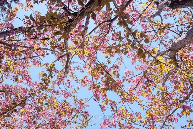 Additional image 45 of 768 Shaw St