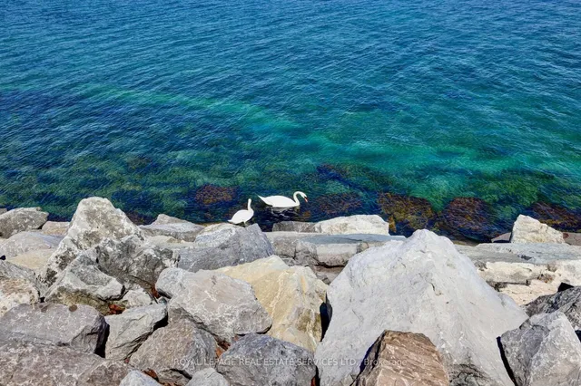 Additional image 47 of 41 Lake Shore Dr Unit 104