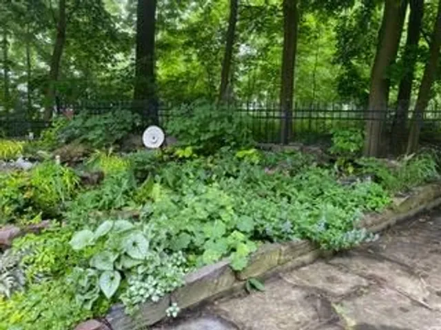 Additional image 41 of 3 Springbank Ave