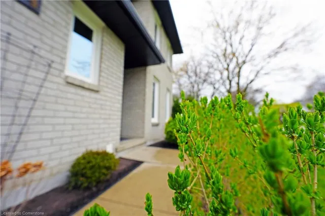 Additional image 8 of 204 Quinte Crt