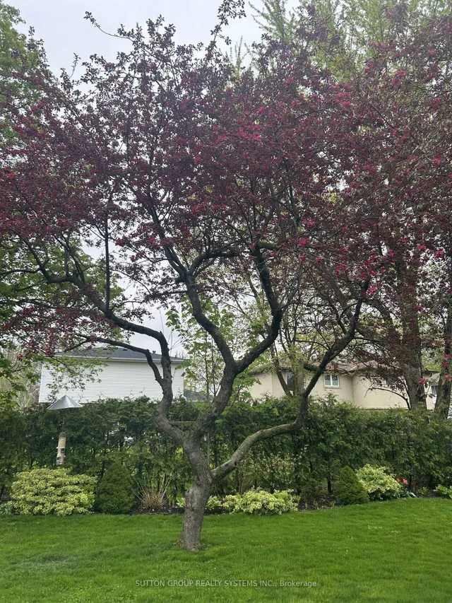 Additional image 37 of 11 Richmond Dr