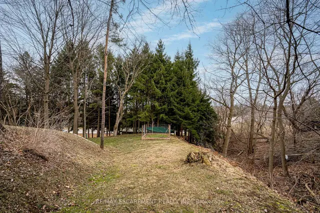 Additional image 38 of 558 Governors Rd