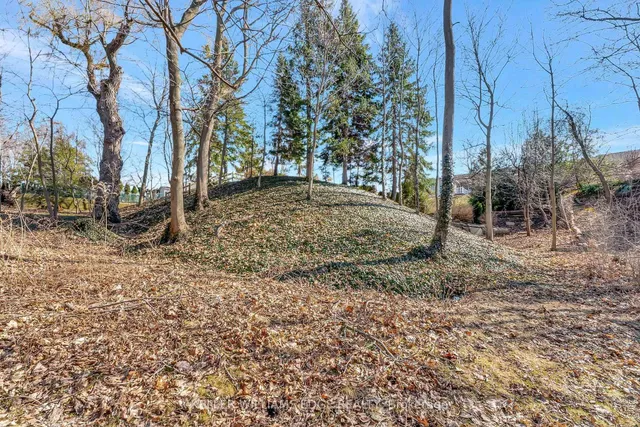 Additional image 38 of 24 Trevor Dr