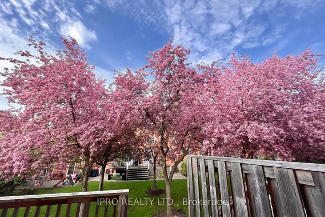 Additional image 23 of 40 Stornwood Crt