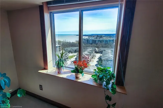 Additional image 15 of 301 Frances Ave Unit 1503