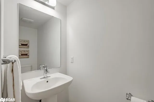 Additional image 5 of 3048 Silvertip Common Common