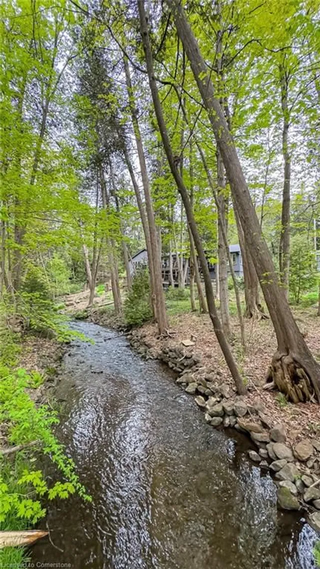 Additional image 48 of 6087 Cedar Springs Rd