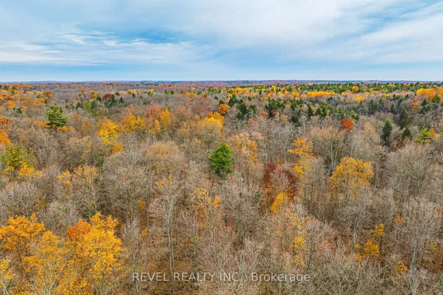 Additional image 48 of 1325 3 Sdrd