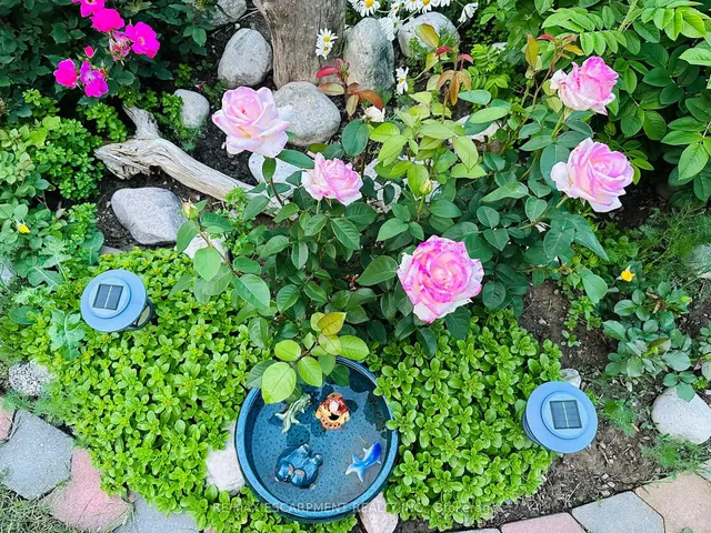 Additional image 43 of 19 Normajean Ave