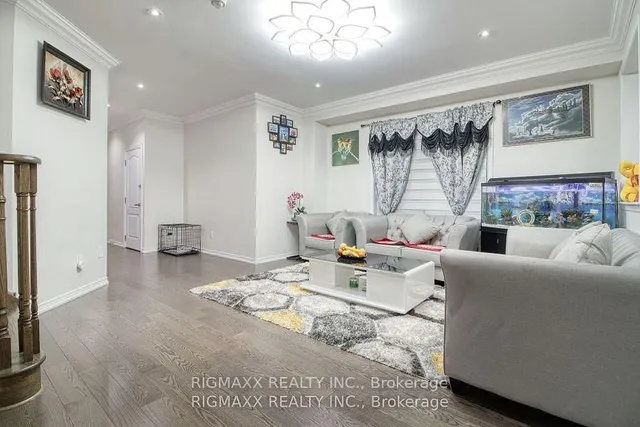 Additional image 8 of 22 Iguana Tr