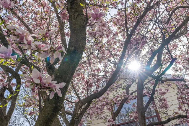 Additional image 45 of 246 Westlake Ave