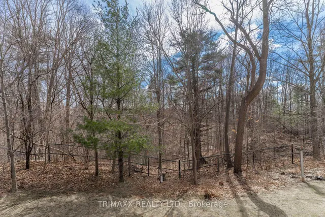 Additional image 19 of 7360 Zinnia Pl Unit 290