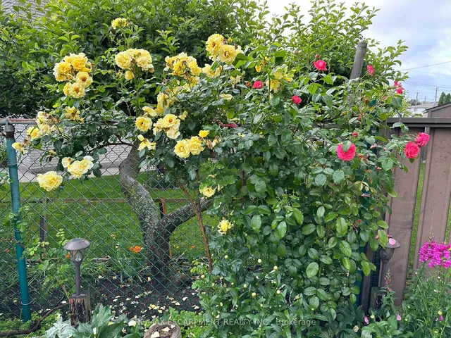 Additional image 47 of 19 Normajean Ave