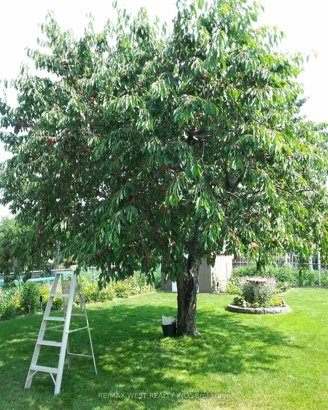 Additional image 19 of 3135 Fairfox Cres